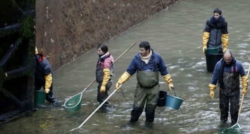 Arroyo Las Flores: Buscaron a un pescador porque temían que se hubiera ahogado, y había caminado en busca de 