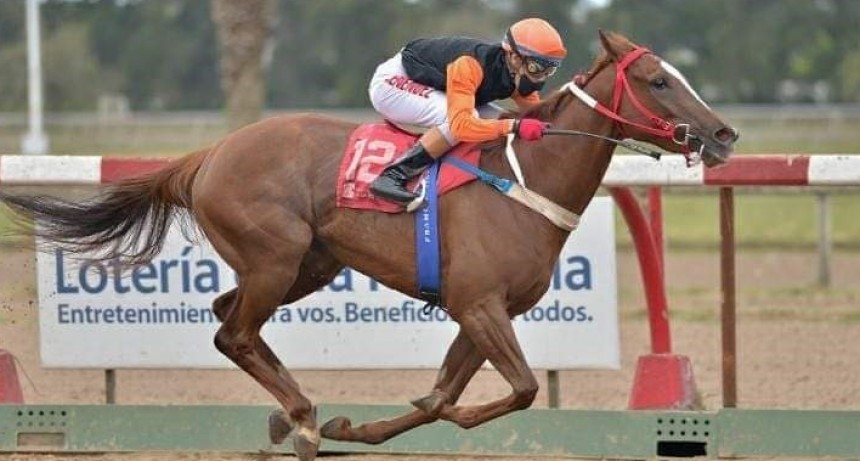 Franco Menéndez: “A pesar de la pandemia logré 92 triunfos durante el 2020”