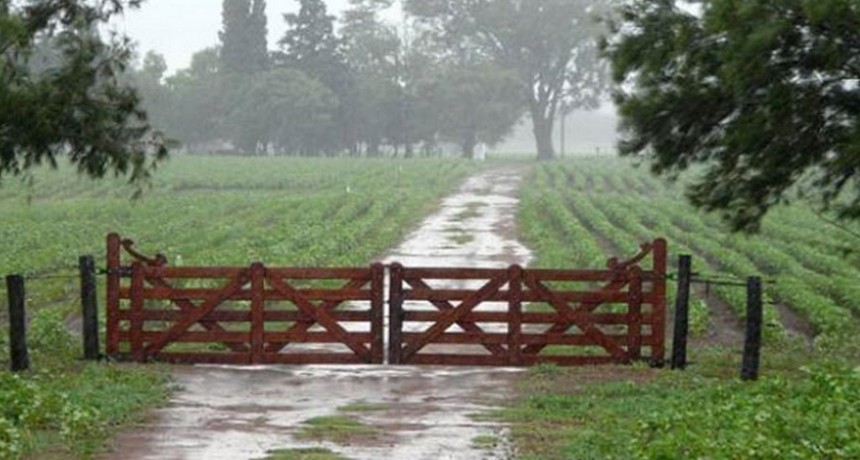 Domingo y lunes, registros que van desde los 15 a los 50 milímetros