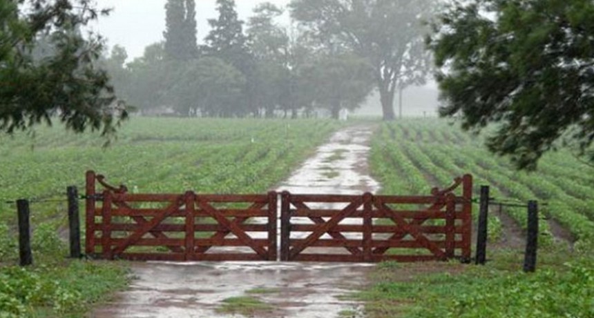 Las lluvias varían con registros desde 10 hasta 20 milímetros