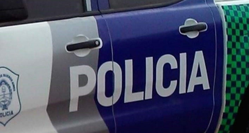 Información Oficial: En los primeros 10 días de enero, se destaca el robo de bombas y equipos de filtado para piletas de natación