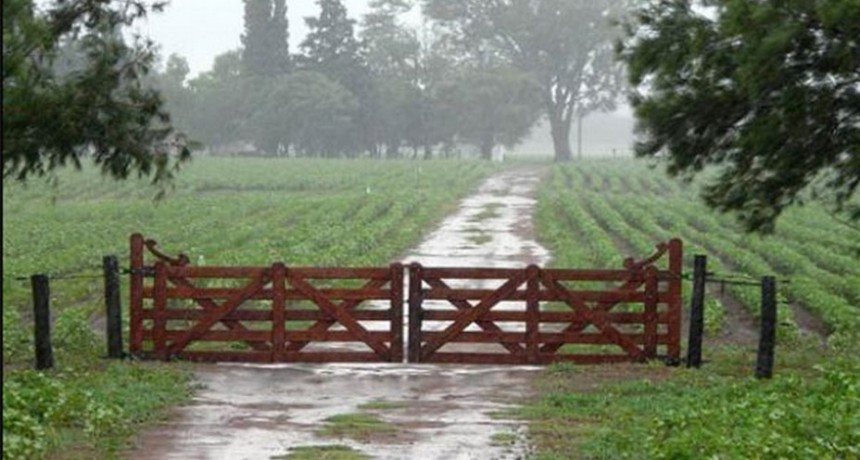 Lluvias dispares en el partido de Bolívar