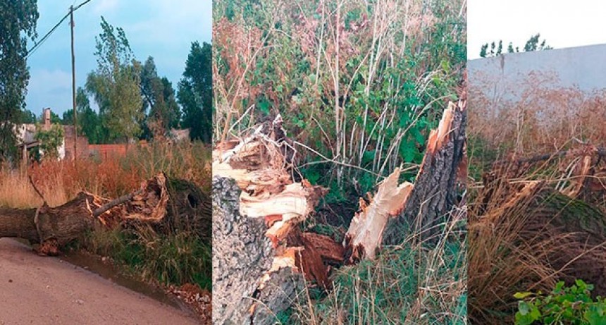 Más daños que generó la tormenta de este sábado