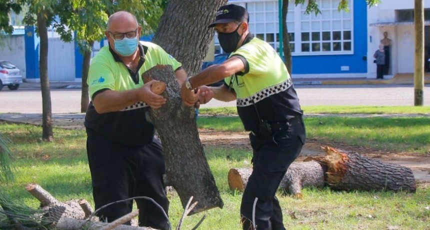 Se inició un plan integral de limpieza de la ciudad