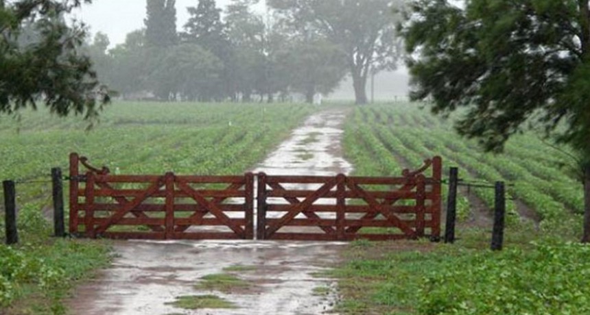 Tercera lluvia del año con registros dispares en el partido de Bolívar y la zona