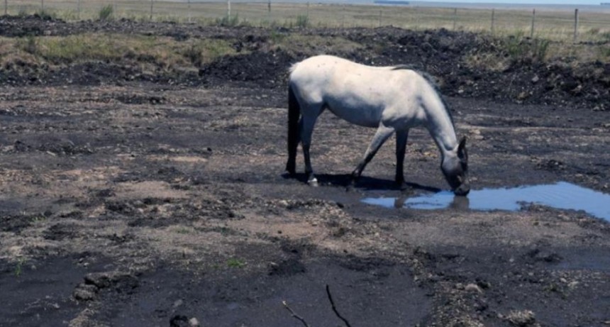 La Provincia continúa impulsando medidas de apoyo al sector agropecuario afectado por la sequía