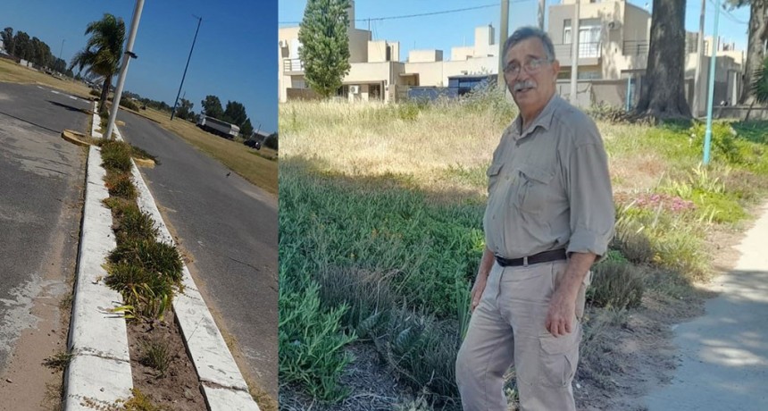 Néstor González: “Mi madre hizo primero el jardín que la casa, y yo crecí con esos hábitos, las plantas me gustan y lo disfruto mucho”