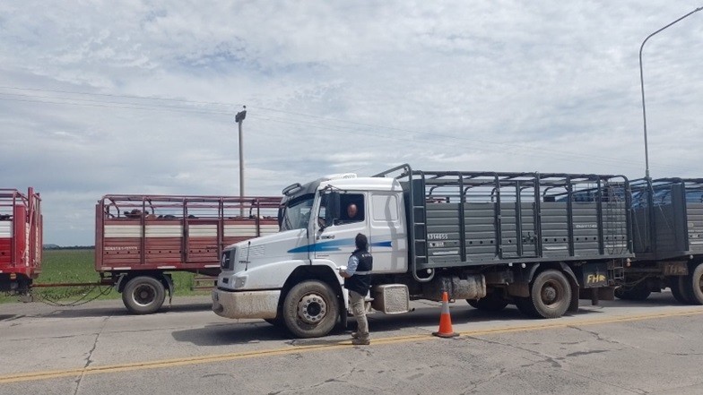 Creció un 170% el control en ruta a transportes de animales vivos y alimentos