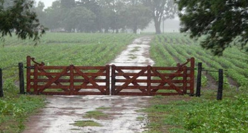 Una lluvia celebrada por el campo, con registros que van desde 15 hasta 80 milímetros