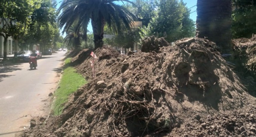 Trabajan intensamente en un tendido subterráneo para garantizar media tensión en el nuevo centro comercial