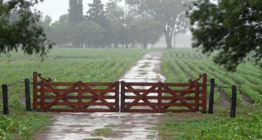 Lluvias irregulares en el partido de Bolívar