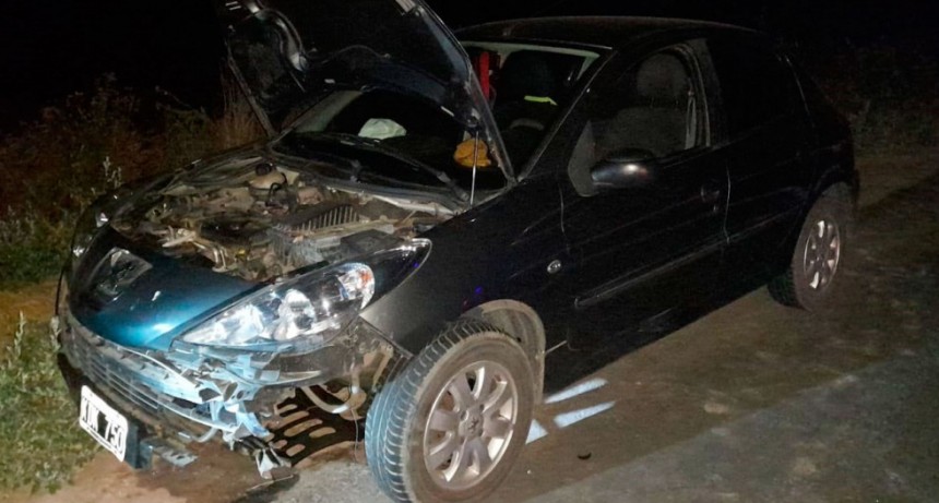 Ruta 205: Una familia impactó a un carpincho con su auto