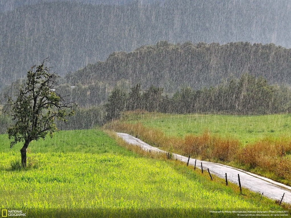 Finalmente llegó la lluvia, con registros muy desparejos en la zona