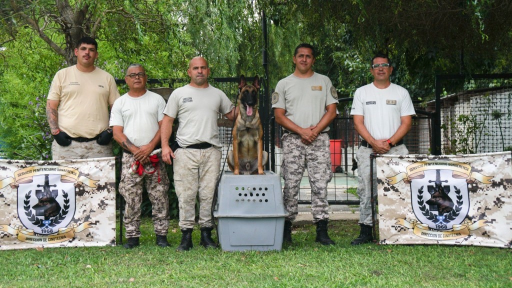 Las cárceles bonaerenses suman perros detectores de estupefacientes