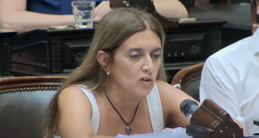 Danya Tavela: “El cambio y la esperanza que votaron los argentinos no está en la ley “Bases”, está en la educación, la ciencia, el trabajo y el progreso”