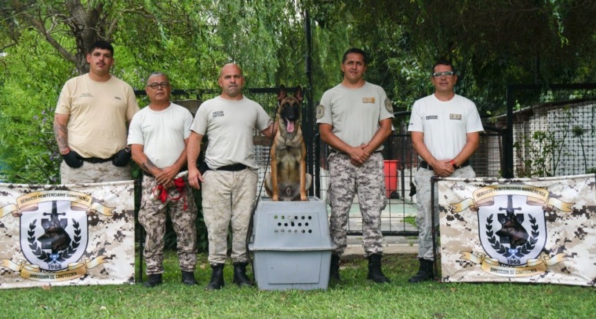 Las cárceles bonaerenses suman perros detectores de estupefacientes