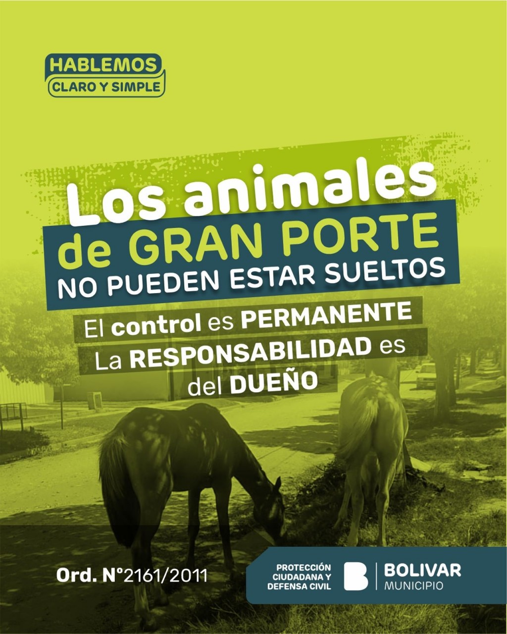 Hablemos claro y simple: control permanente de animales de gran porte en la Vía Pública