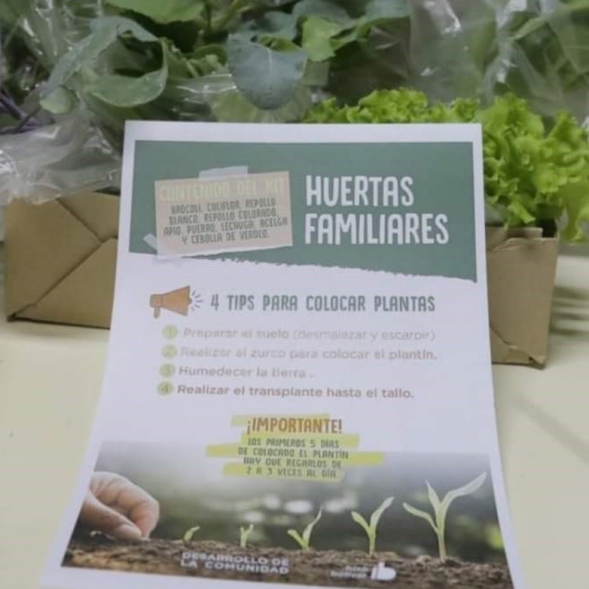 Economía social y solidaria: La secretaria de desarrollo de la comunidad acompaña el programa huertas familiares