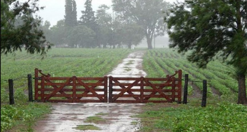 Registro de lluvias actualizados: En algunos parajes rurales superaron los 200 milímetros