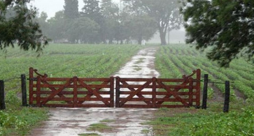 Registros que van de 35 hasta m&aacute;s de 100 mil&iacute;metros