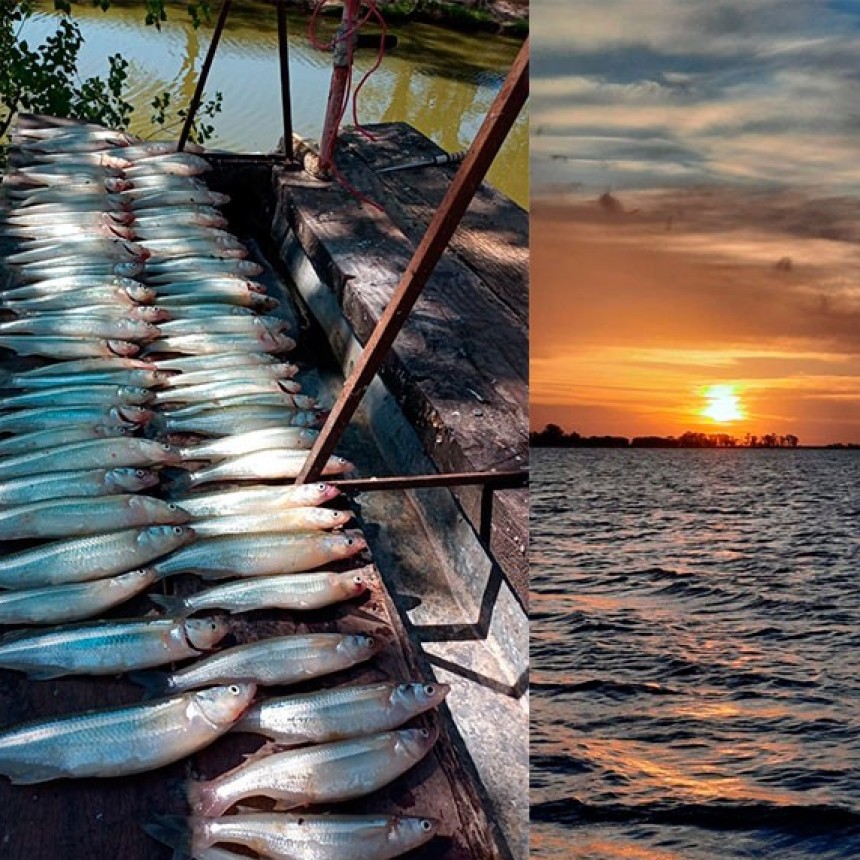 Laguna Blanca Grande: Este domingo se llevará adelante la primera fecha del Torneo Interno del Club de Pesca