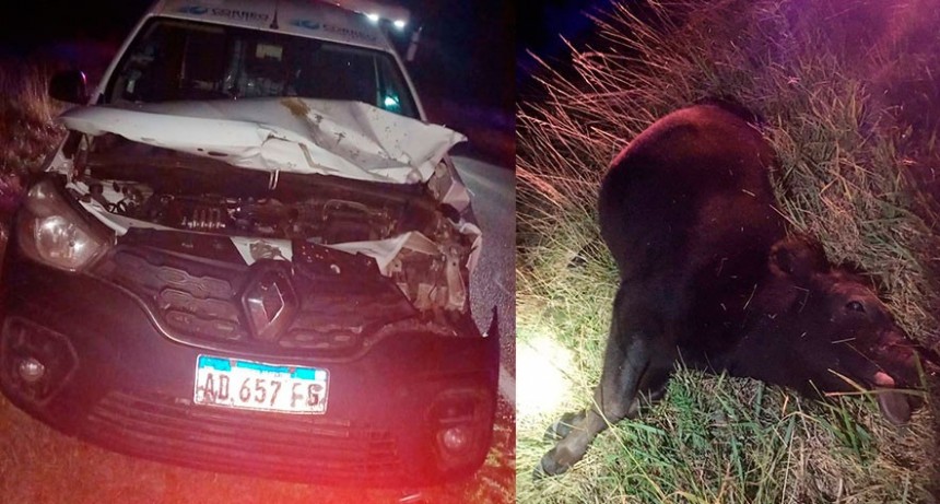 Ruta 205: Impacto de un utilitario con un animal vacuno