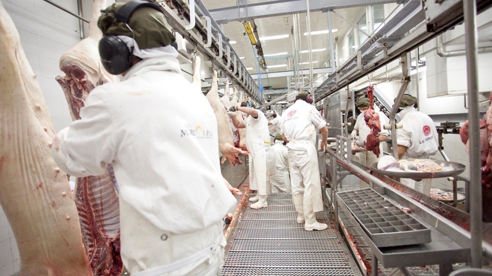 Argentina abrió el mercado de Paraguay para carne y menudencias porcinas