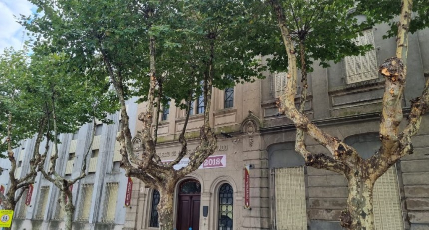 La Municipalidad de Bolívar realiza la limpieza y desrame balsal sobre los árboles de avenida San Martín y Arenales