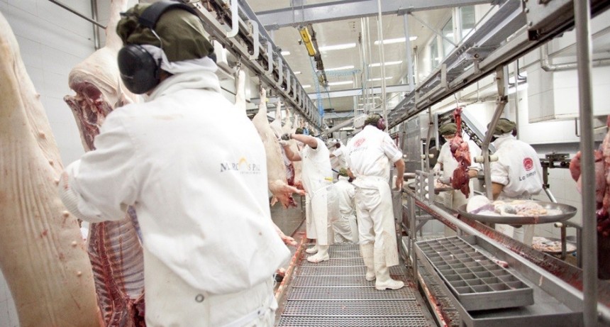 Argentina abrió el mercado de Paraguay para carne y menudencias porcinas