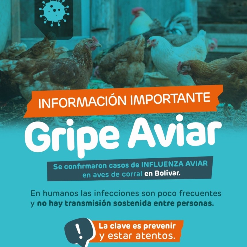 Confirman casos de Influenza Aviar en aves de corral en un establecimiento de Bol&iacute;var