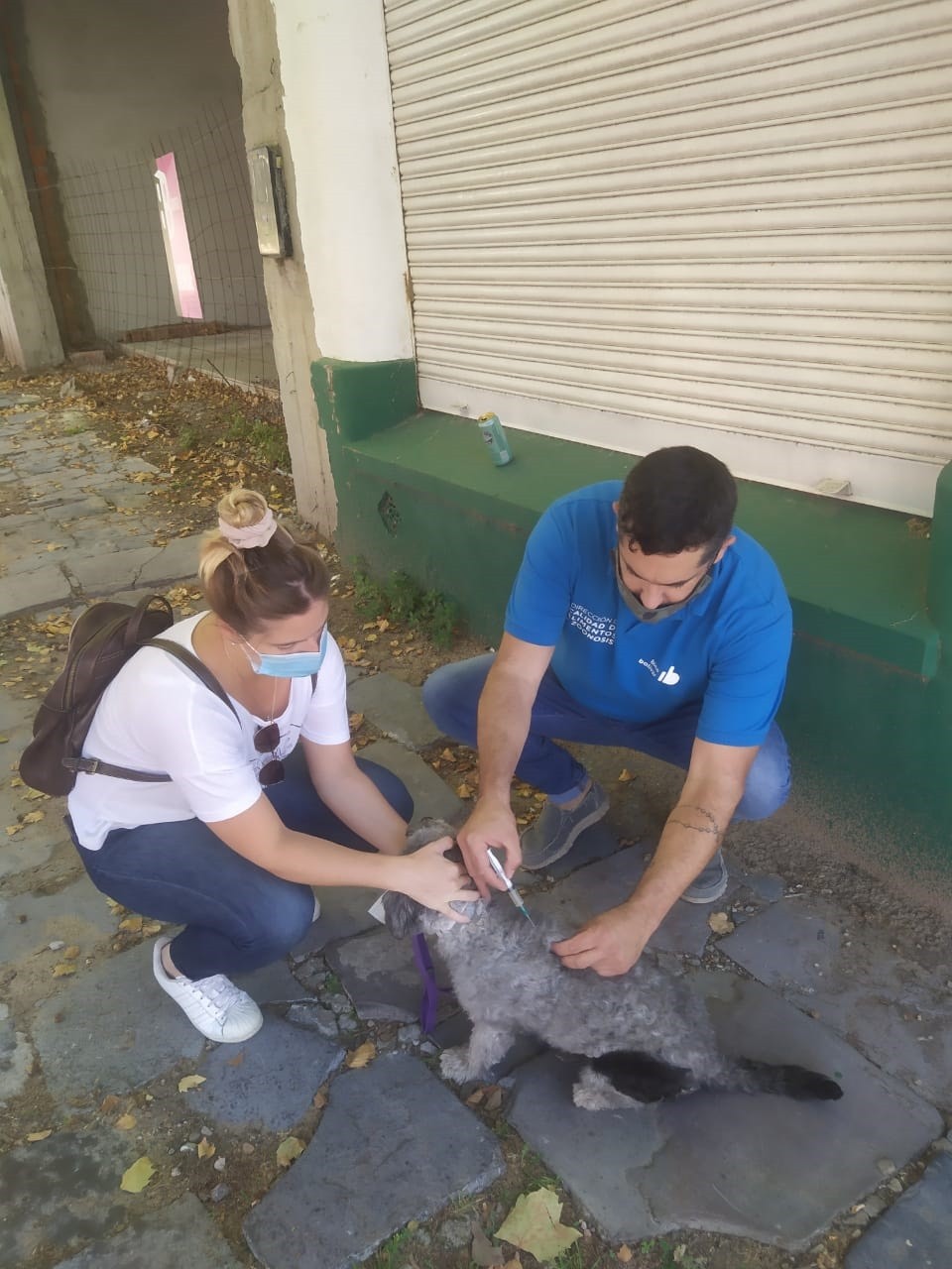 Comenzó la Campaña de Vacunación Antirrábica en Bolívar