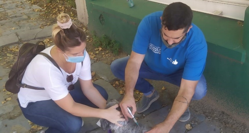 Comenzó la Campaña de Vacunación Antirrábica en Bolívar