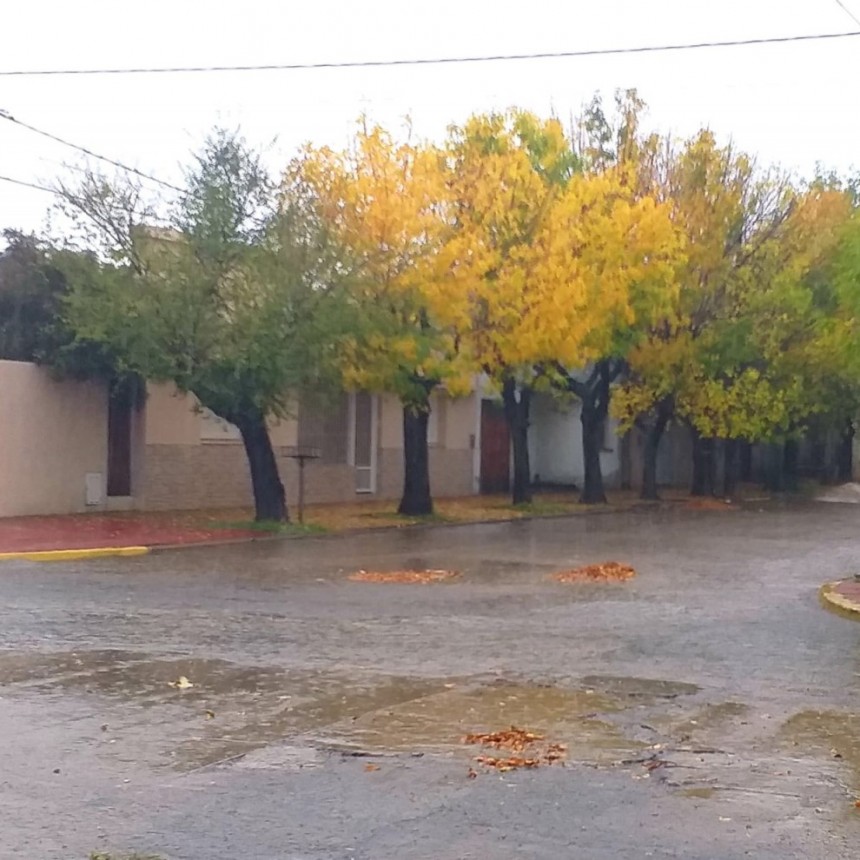 Registro de lluvias: Desde 25 hasta 105 mm registrados en el Partido de Bolívar y la zona