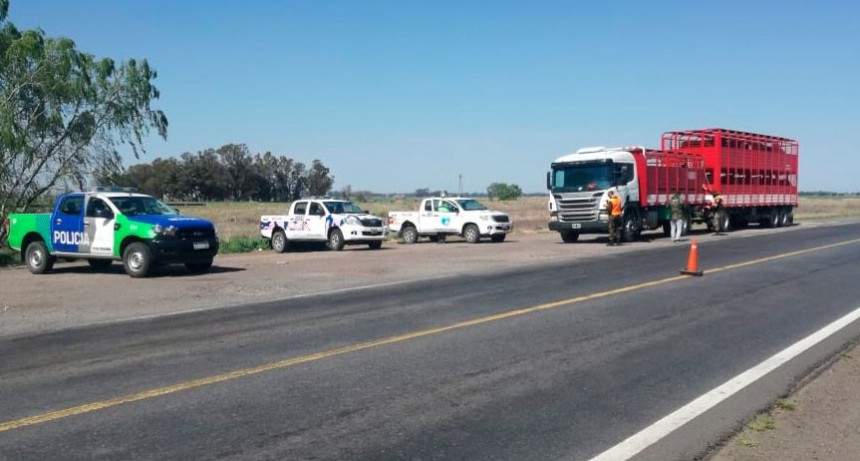 Patrulla Rural: Secuestraron tres motos, labraron infracciones de tránsito y faltas al Código Rural