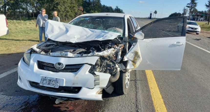 Ruta 205: Una bolivarense sufrió un accidente al impactar contra un animal vacuno