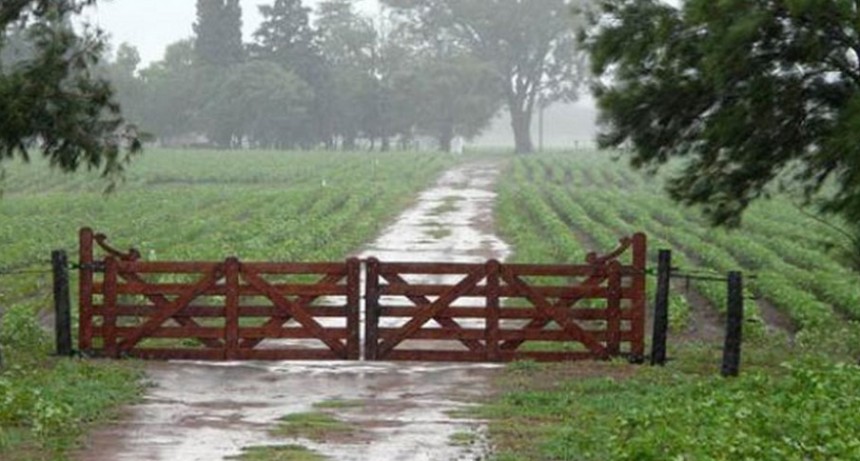 Lluvias en el partido de Bolívar