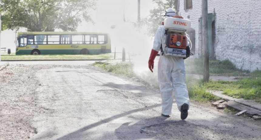 Hay casos de Dengue en unos 15 Municipios de la Provincia de Buenos aires