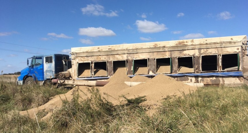 Volcó un camión-tolva con alimento balanceado y el Equipo Municipal la recuperó a condición de circulación e hizo el transbordo de la carga a otra unidad