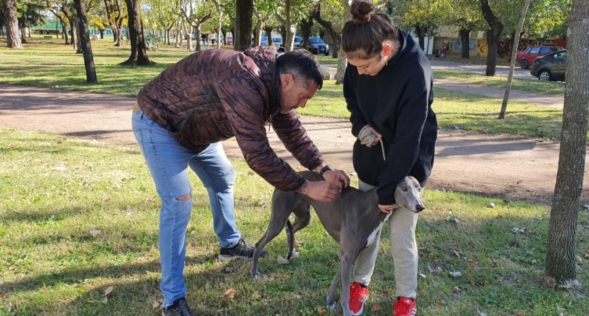 Día del Animal y Programa de Vacunación: En FM 10 hablamos con el Director de Zoonósis Enzo Solondoeta