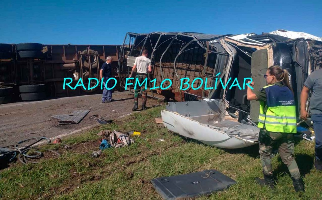 Ruta 226: Volcó un camión que transportaba animales vacunos, y dejó interrumpido el tránsito hacia Olavarría