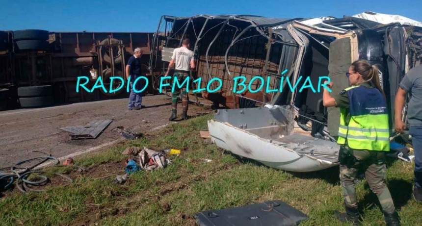 Ruta 226: Volcó un camión que transportaba animales vacunos, y dejó interrumpido el tránsito hacia Olavarría