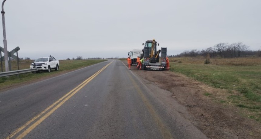 Las privatizaciones de las rutas 3, 5, 205 y 226 ya tienen los 