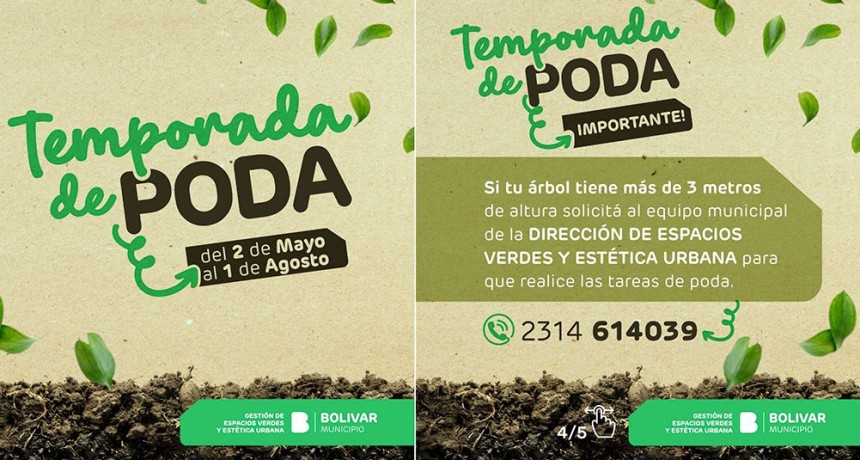 Comienza la temporada de Poda:  el Municipio promueve la poda responsable y el cuidado del arolado urbano de la ciudad