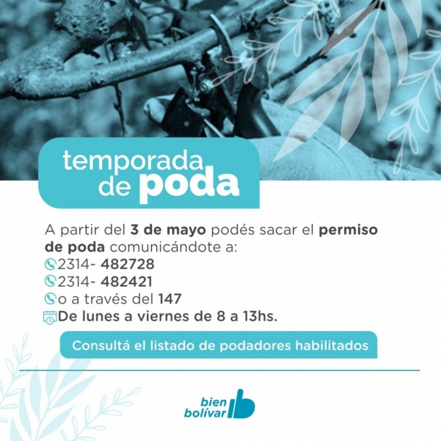 Desde este lunes: Comenzó la temporada de poda del arbolado urbano