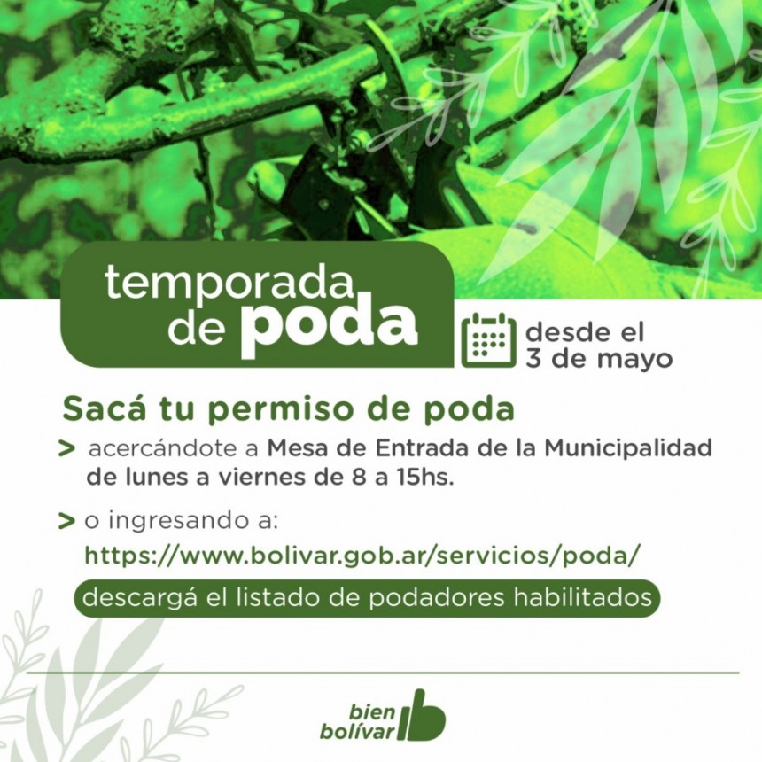 Comienza la temporada de poda del arbolado urbano