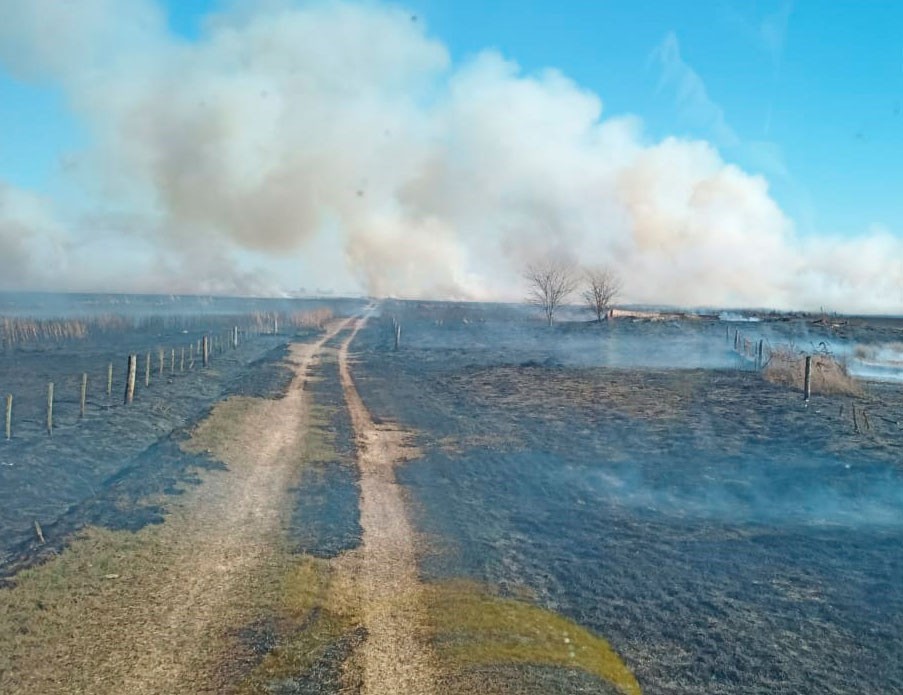 Bomberos Voluntarios de Bolívar  acudieron a un incendio forestal en un campo de Corbett, límite de partido con 9 de Julio, se quemaron 300 hectáreas con algunos animales salvajes muertos entre las llamas, esta mañana hablamos con Franco Rojas