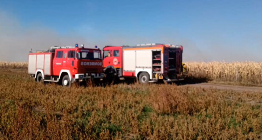 Estancia La Laurita: Varias dotaciones de Bomberos Voluntarios debieron unirse este lunes para combatir un incendio en un lote de maíz sin cosechar