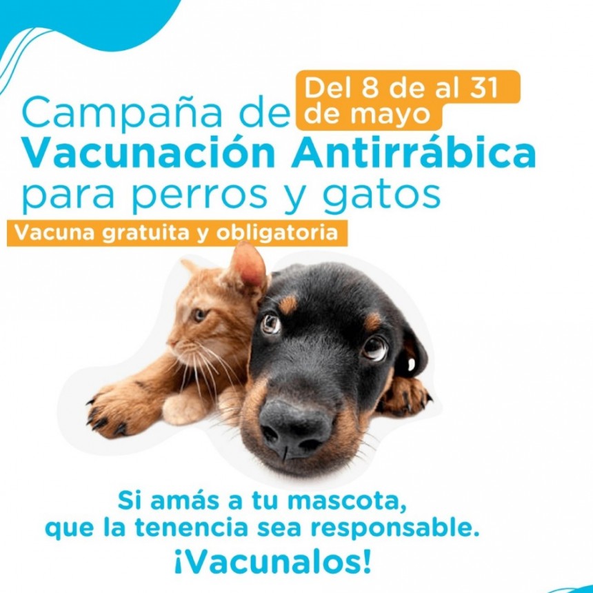 Comienza la Campaña de Vacunación Antirrábica