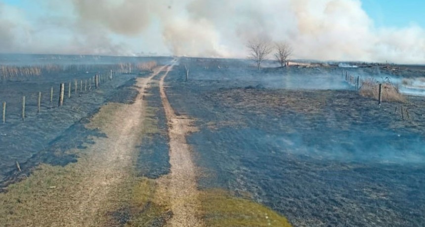 Bomberos Voluntarios de Bol�var  acudieron a un incendio forestal en un campo de Corbett, l�mite de partido con 9 de Julio, se quemaron 300 hect�reas con algunos animales salvajes muertos entre las llamas, esta ma�ana hablamos con Franco Rojas