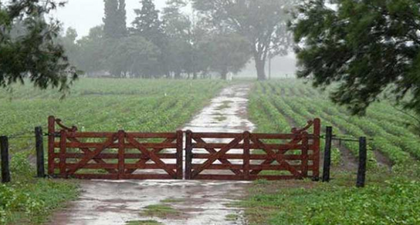Lluvias parejas en toda la zona, con registros máximos de 30 milímetros